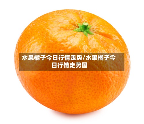 水果橘子今日行情走势/水果橘子今日行情走势图-第2张图片