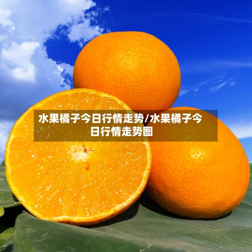 水果橘子今日行情走势/水果橘子今日行情走势图