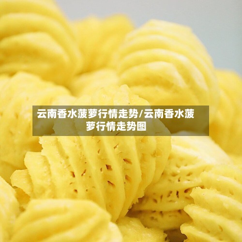 云南香水菠萝行情走势/云南香水菠萝行情走势图
