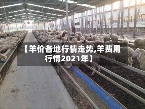 【羊价各地行情走势,羊费用行情2021年】