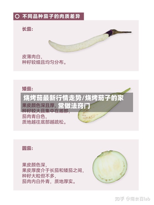 烧烤茄最新行情走势/烧烤茄子的家常做法窍门-第2张图片