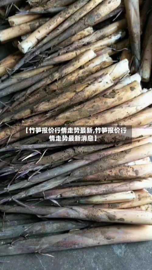 【竹笋报价行情走势最新,竹笋报价行情走势最新消息】