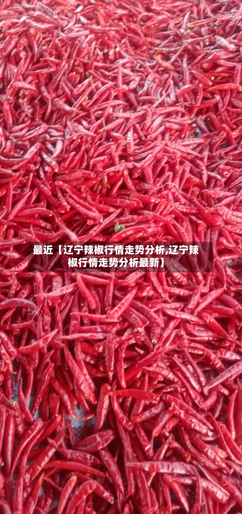 最近【辽宁辣椒行情走势分析,辽宁辣椒行情走势分析最新】-第3张图片