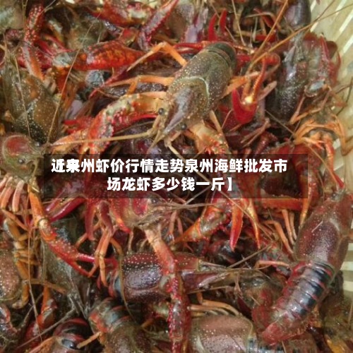 近来【泉州虾价行情走势泉州海鲜批发市场龙虾多少钱一斤】
