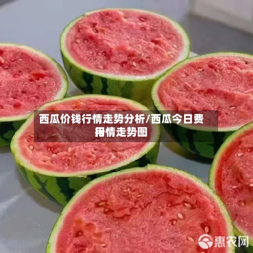 西瓜价钱行情走势分析/西瓜今日费用行情走势图