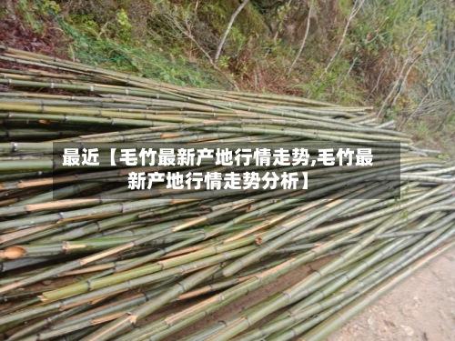 最近【毛竹最新产地行情走势,毛竹最新产地行情走势分析】