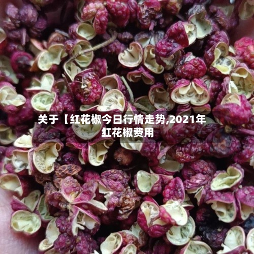 关于【红花椒今日行情走势,2021年红花椒费用】