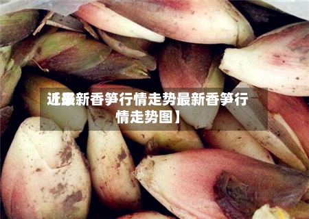 近来【最新香笋行情走势最新香笋行情走势图】-第2张图片