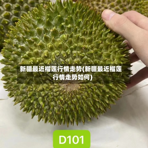 新疆最近榴莲行情走势(新疆最近榴莲行情走势如何)