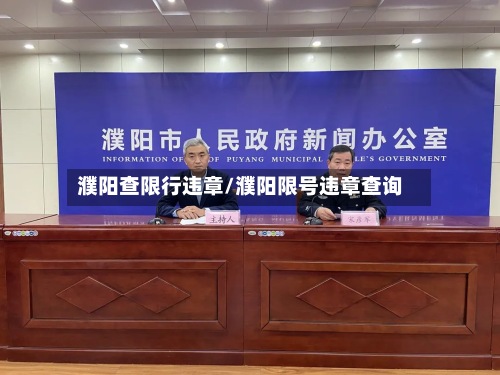 濮阳查限行违章/濮阳限号违章查询-第2张图片