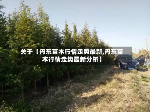 关于【丹东苗木行情走势最新,丹东苗木行情走势最新分析】-第3张图片