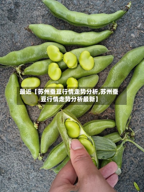 最近【苏州蚕豆行情走势分析,苏州蚕豆行情走势分析最新】-第3张图片