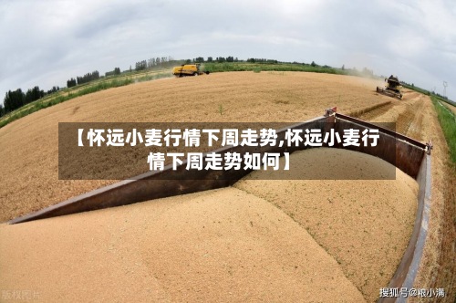 【怀远小麦行情下周走势,怀远小麦行情下周走势如何】-第2张图片