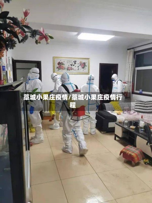 藁城小果庄疫情/藁城小果庄疫情行程-第2张图片
