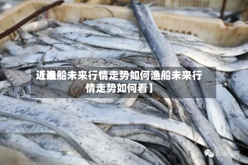 近来【渔船未来行情走势如何渔船未来行情走势如何看】