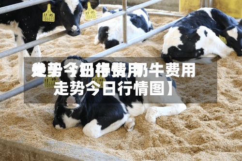 关于【奶牛费用走势今日行情,奶牛费用走势今日行情图】