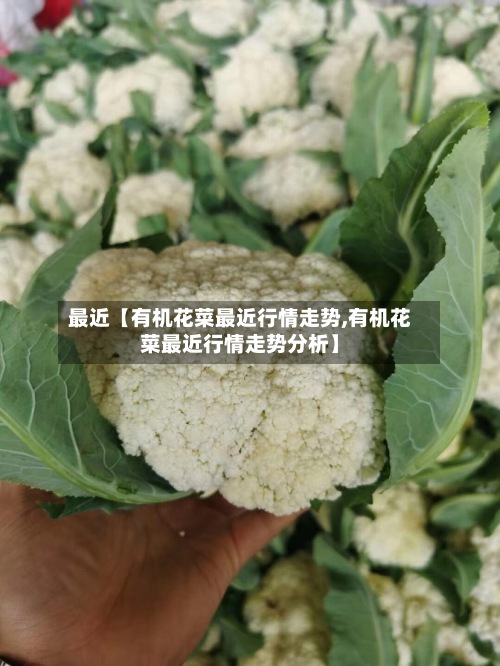 最近【有机花菜最近行情走势,有机花菜最近行情走势分析】