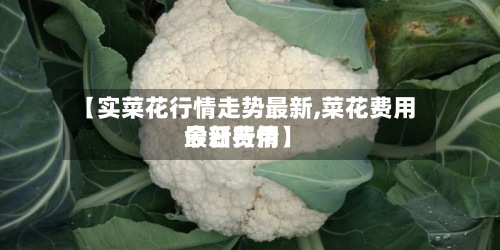 【实菜花行情走势最新,菜花费用今日费用最新行情】