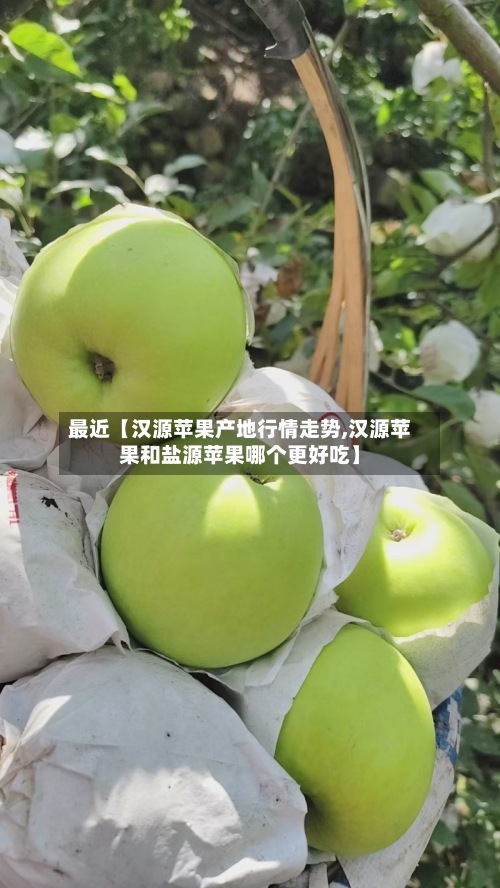 最近【汉源苹果产地行情走势,汉源苹果和盐源苹果哪个更好吃】