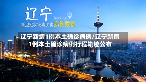 辽宁新增1例本土确诊病例/辽宁新增1例本土确诊病例行程轨迹公布-第2张图片