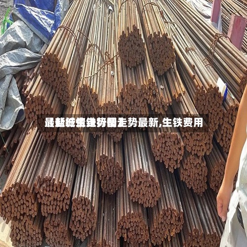 【盐城生铁行情走势最新,生铁费用最新行情走势图】