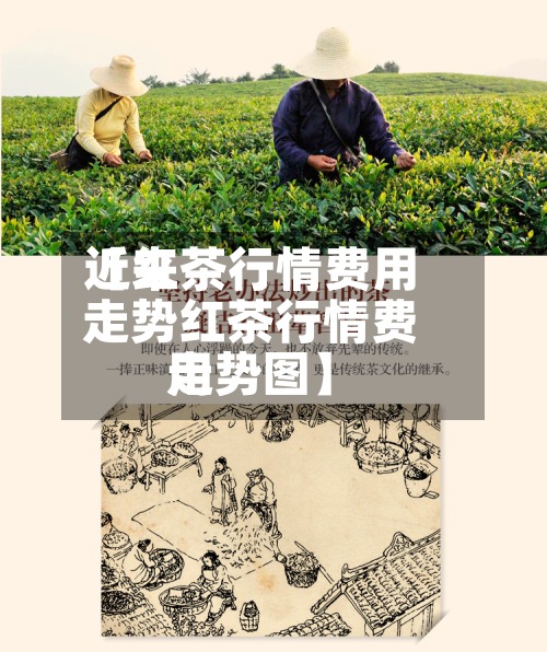 近来【红茶行情费用走势红茶行情费用走势图】