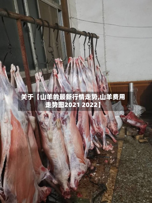 关于【山羊的最新行情走势,山羊费用走势图2021 2022】-第3张图片