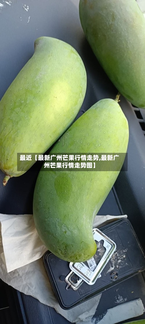 最近【最新广州芒果行情走势,最新广州芒果行情走势图】