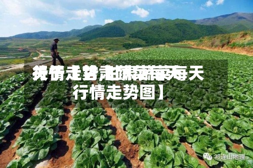 关于【甘肃蔬菜每天行情走势,甘肃蔬菜每天行情走势图】-第2张图片