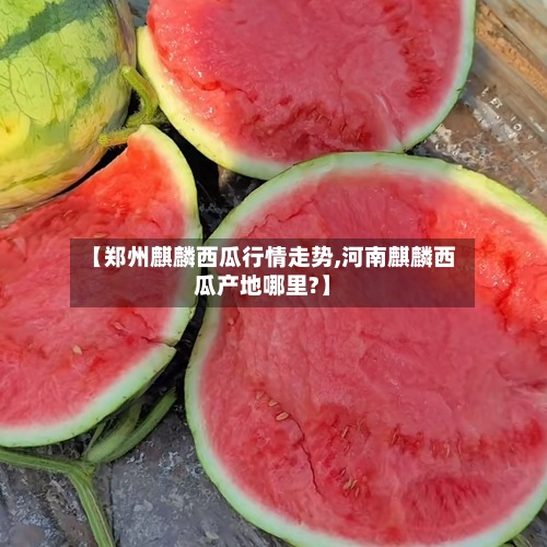【郑州麒麟西瓜行情走势,河南麒麟西瓜产地哪里?】-第2张图片