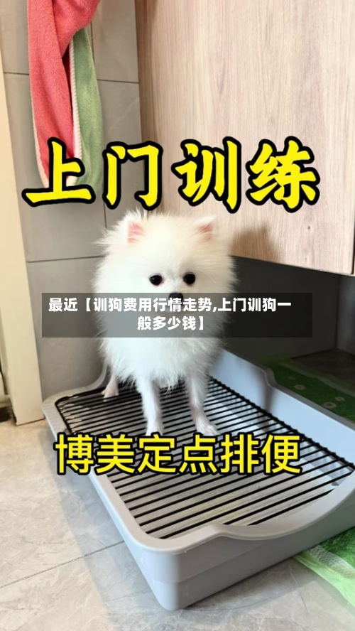 最近【训狗费用行情走势,上门训狗一般多少钱】-第2张图片