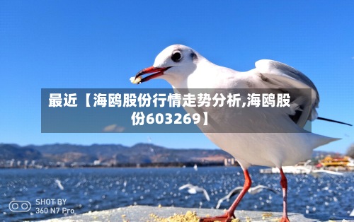 最近【海鸥股份行情走势分析,海鸥股份603269】-第2张图片