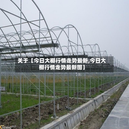 关于【今日大棚行情走势最新,今日大棚行情走势最新图】