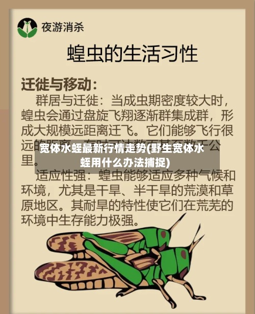 宽体水蛭最新行情走势(野生宽体水蛭用什么办法捕捉)