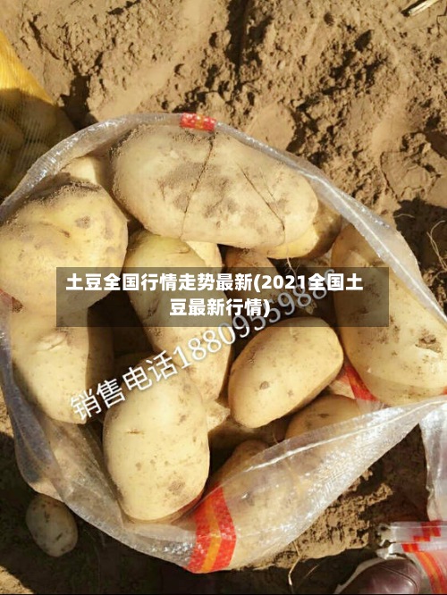 土豆全国行情走势最新(2021全国土豆最新行情)-第3张图片