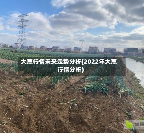 大葱行情未来走势分析(2022年大葱行情分析)-第3张图片