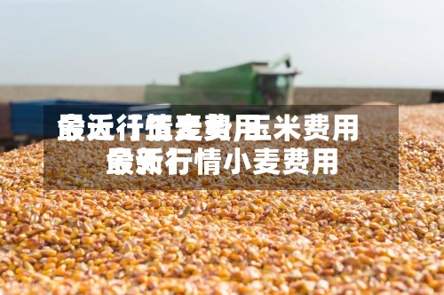 最近【玉麦费用今天行情走势,玉米费用最新行情小麦费用今天】-第2张图片