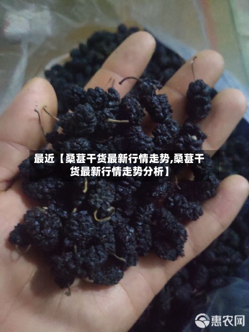 最近【桑葚干货最新行情走势,桑葚干货最新行情走势分析】-第2张图片