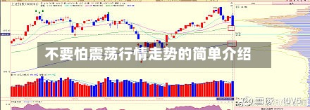 不要怕震荡行情走势的简单介绍