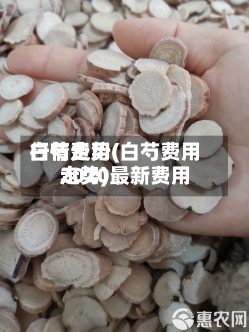 白芍费用行情走势(白芍费用2020最新费用走势)