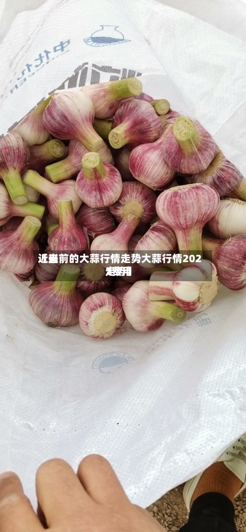 近来【当前的大蒜行情走势大蒜行情2021费用走势】