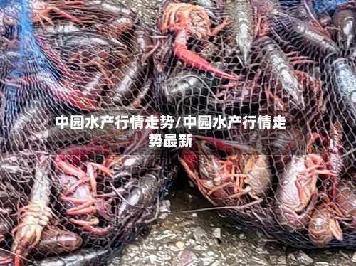 中园水产行情走势/中园水产行情走势最新