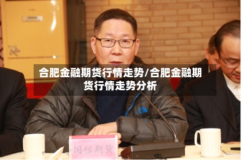 合肥金融期货行情走势/合肥金融期货行情走势分析