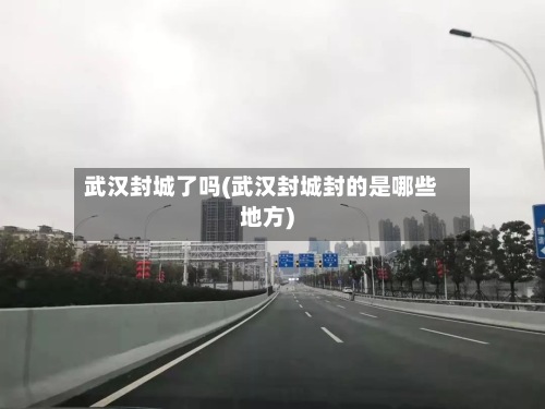 武汉封城了吗(武汉封城封的是哪些地方)-第2张图片