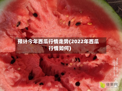 预计今年西瓜行情走势(2022年西瓜行情如何)-第3张图片
