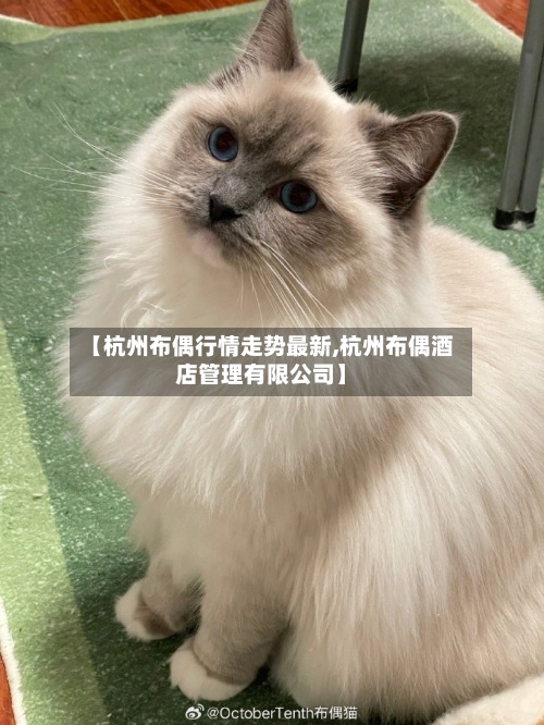 【杭州布偶行情走势最新,杭州布偶酒店管理有限公司】