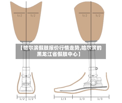 【哈尔滨假肢报价行情走势,哈尔滨的黑龙江省假肢中心】