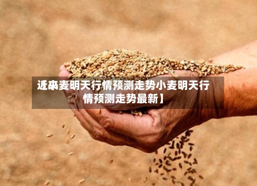 近来【小麦明天行情预测走势小麦明天行情预测走势最新】