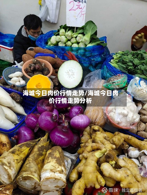 海城今日肉价行情走势/海城今日肉价行情走势分析