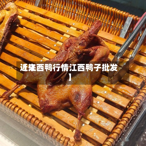 近来【江西鸭行情江西鸭子批发】-第2张图片